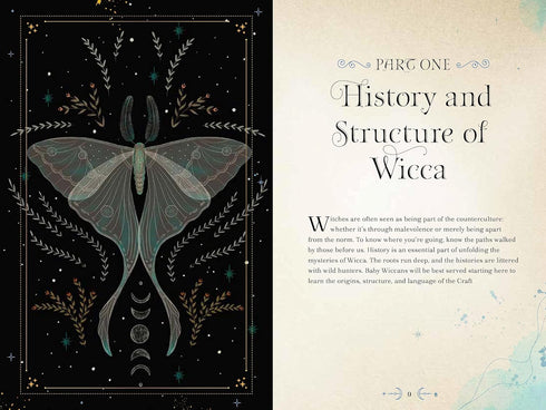 WICCA MAGIC: A HANDBOOK OF WICCAN HISTORY, TRADITIONS, AND RITUALS - HOLLYHOCK.